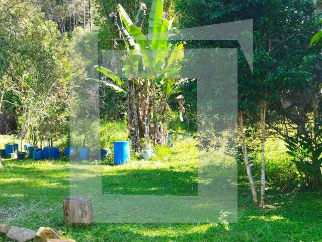 Sítio para Venda em Juquitiba - 5