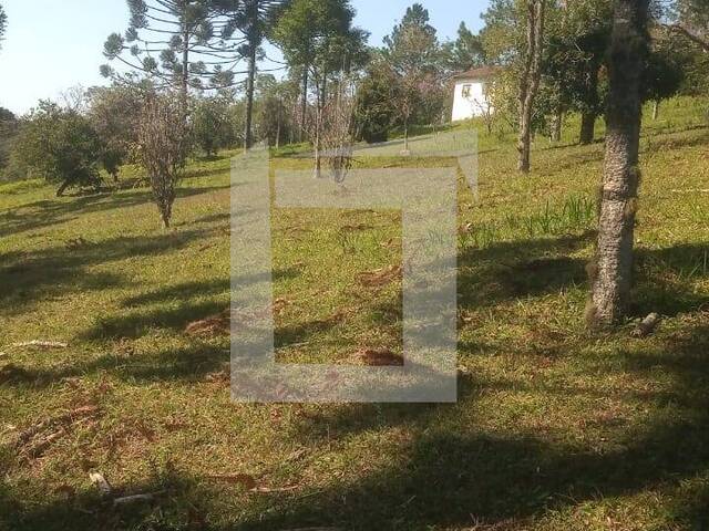 Sítio para Venda em Juquitiba - 4