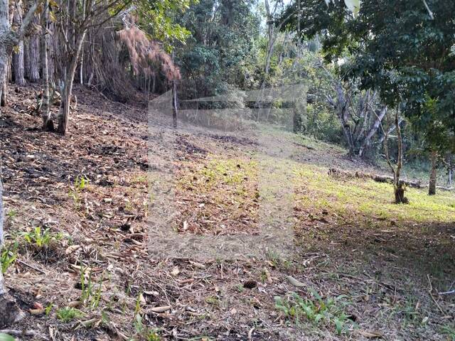 Terreno para Venda em Juquitiba - 5