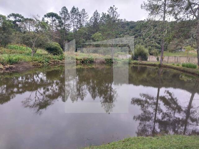 Sítio para Venda em Juquitiba - 4
