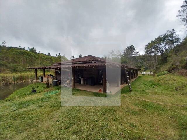 #274 - Sítio para Venda em Juquitiba - SP - 1