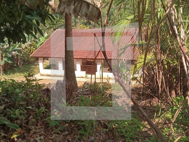 #276 - Sítio para Venda em Miracatu - SP - 3