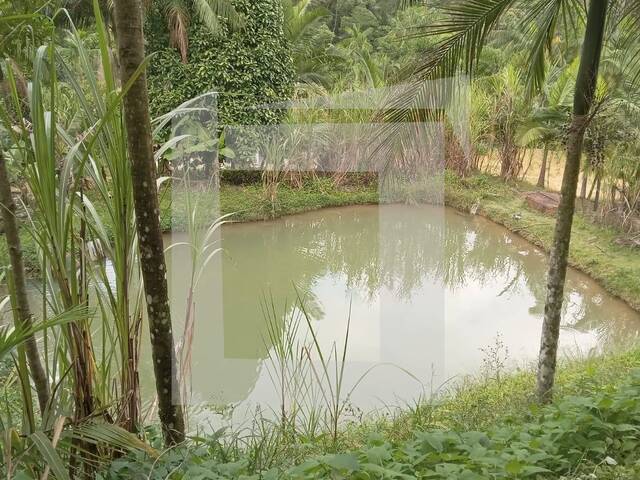 #276 - Sítio para Venda em Miracatu - SP - 2
