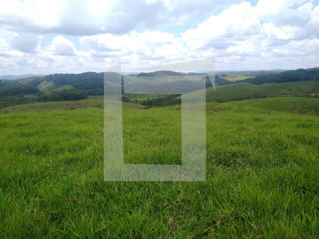 #277 - Fazenda para Venda em Registro - SP - 1