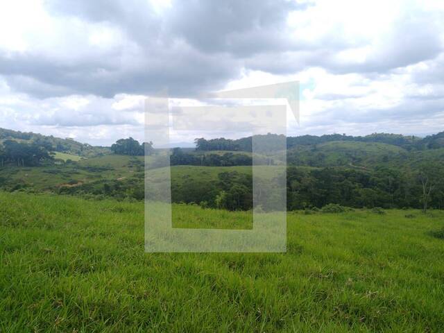 #277 - Fazenda para Venda em Registro - SP - 2