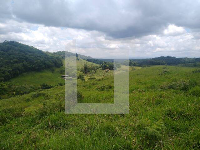 #277 - Fazenda para Venda em Registro - SP - 3