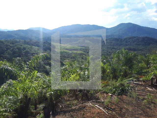 #282 - Sítio para Venda em Miracatu - SP - 2