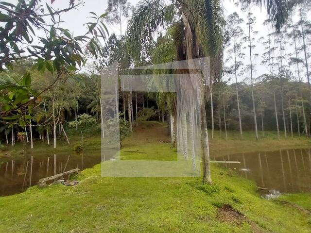 Sítio para Venda em Juquitiba - 2