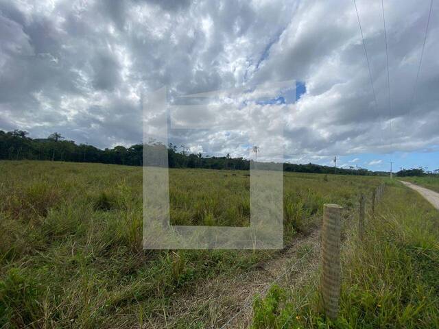 #284 - Fazenda para Venda em Pariquera-Açu - SP - 1