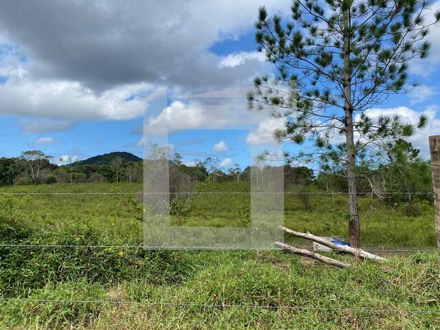 #284 - Fazenda para Venda em Pariquera-Açu - SP - 2