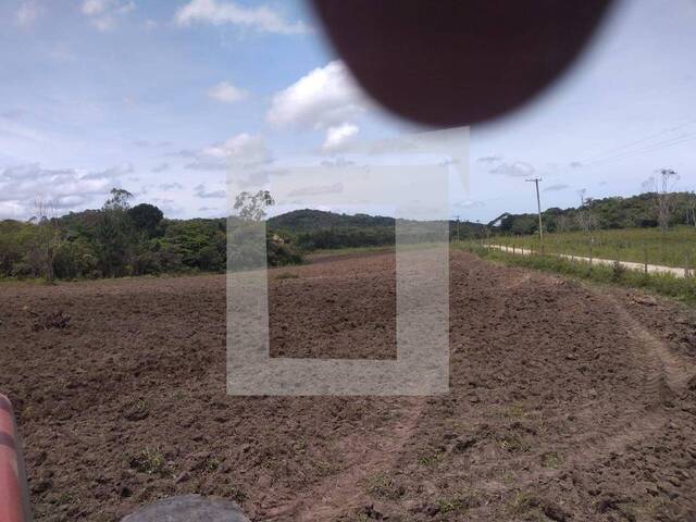 #284 - Fazenda para Venda em Pariquera-Açu - SP - 3