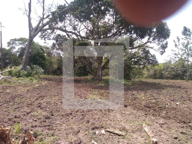 Fazenda para Venda em Pariquera-Açu - 4