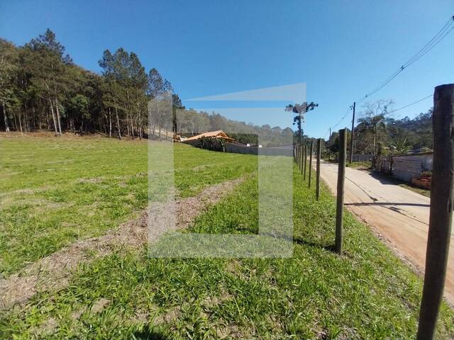 #290 - Terreno para Venda em Juquitiba - SP - 3