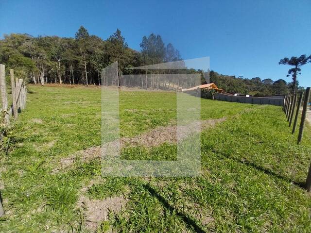 Terreno para Venda em Juquitiba - 5