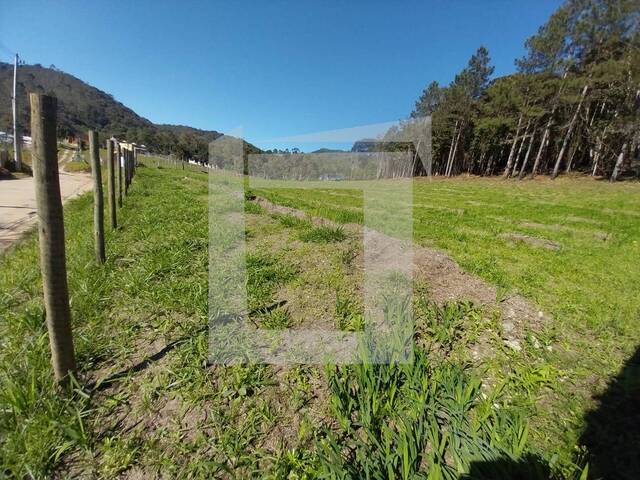 Terreno para Venda em Juquitiba - 4