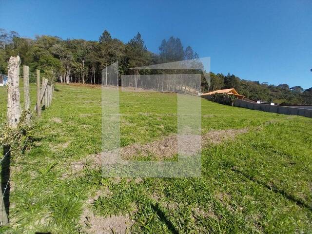 #290 - Terreno para Venda em Juquitiba - SP - 1