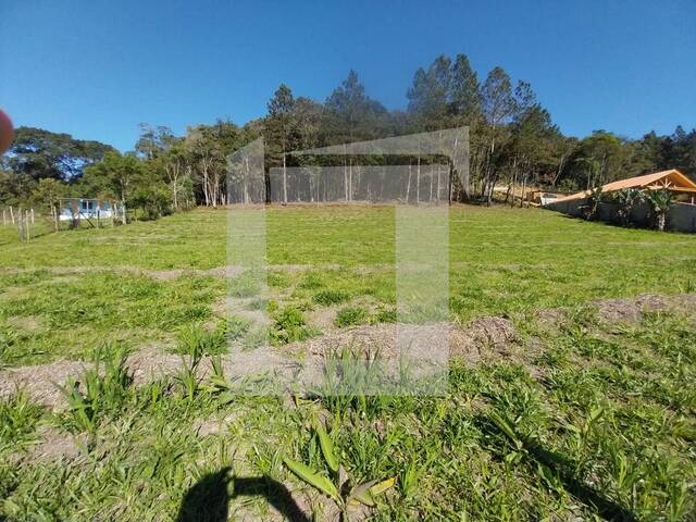 #290 - Terreno para Venda em Juquitiba - SP - 2