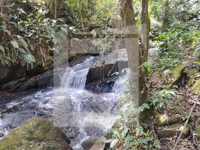 #293 - Chácara para Venda em São Lourenço da Serra - SP - 1