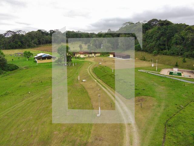 #295 - Sítio para Venda em Juquitiba - SP