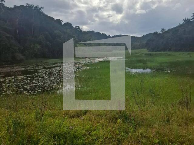 #297 - Fazenda para Venda em Eldorado - SP - 2