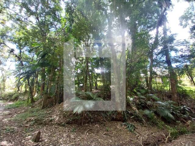 Chácara para Venda em Juquitiba - 4