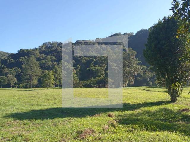 #308 - Sítio para Venda em Juquitiba - SP