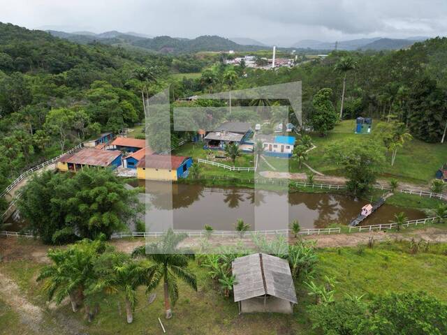 Sítio para Venda em Miracatu - 2