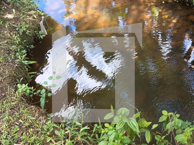 Sítio para Venda em Juquiá - 4