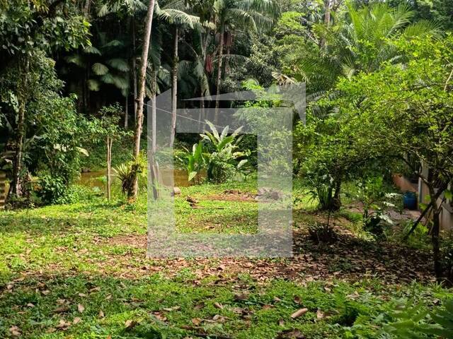 Venda em centro - Juquiá