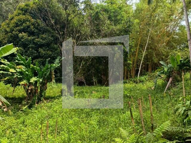 Sítio para Venda em Juquiá - 2