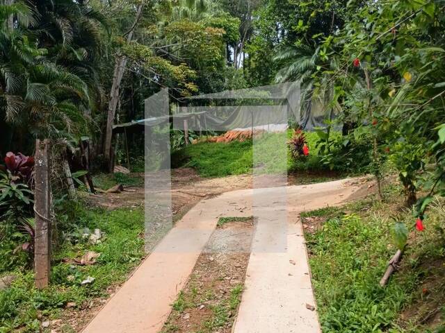 Sítio para Venda em Juquiá - 4