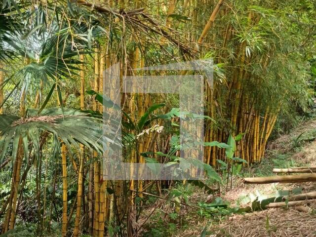 Sítio para Venda em Juquiá - 5