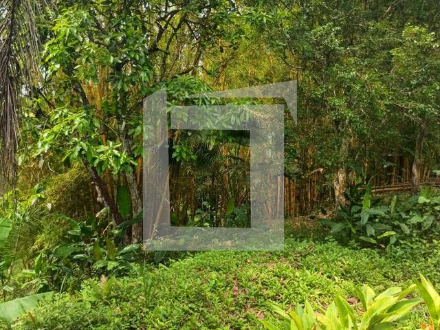 Sítio para Venda em Juquiá - 3