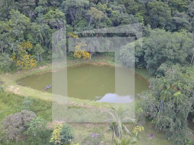 Sítio para Venda em Juquiá - 4
