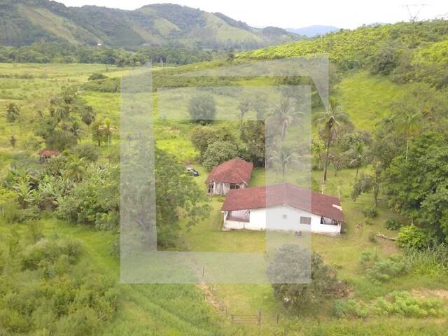 Sítio para Venda em Juquiá - 3