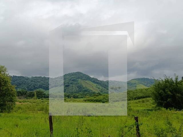 Sítio para Venda em Juquiá - 2