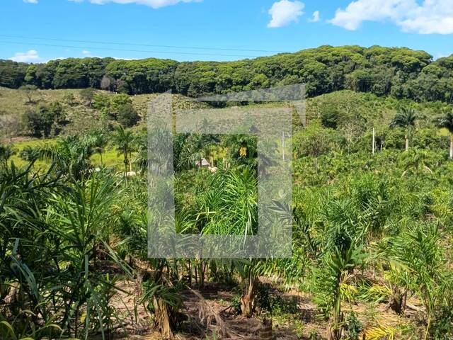 Chácara para Venda em Juquiá - 3