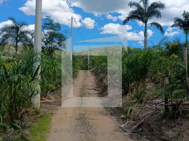 Chácara para Venda em Juquiá - 5