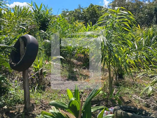 Chácara para Venda em Juquiá - 2