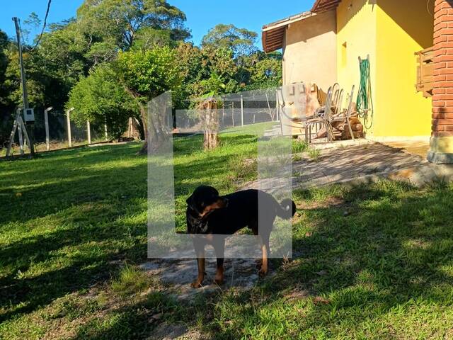 Sítio para Venda em Registro - 4