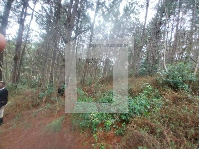 #341 - Terreno para Venda em Juquitiba - SP - 2