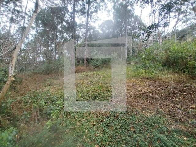 #341 - Terreno para Venda em Juquitiba - SP - 3