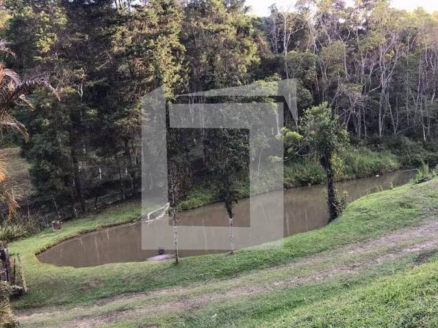 para em - 4